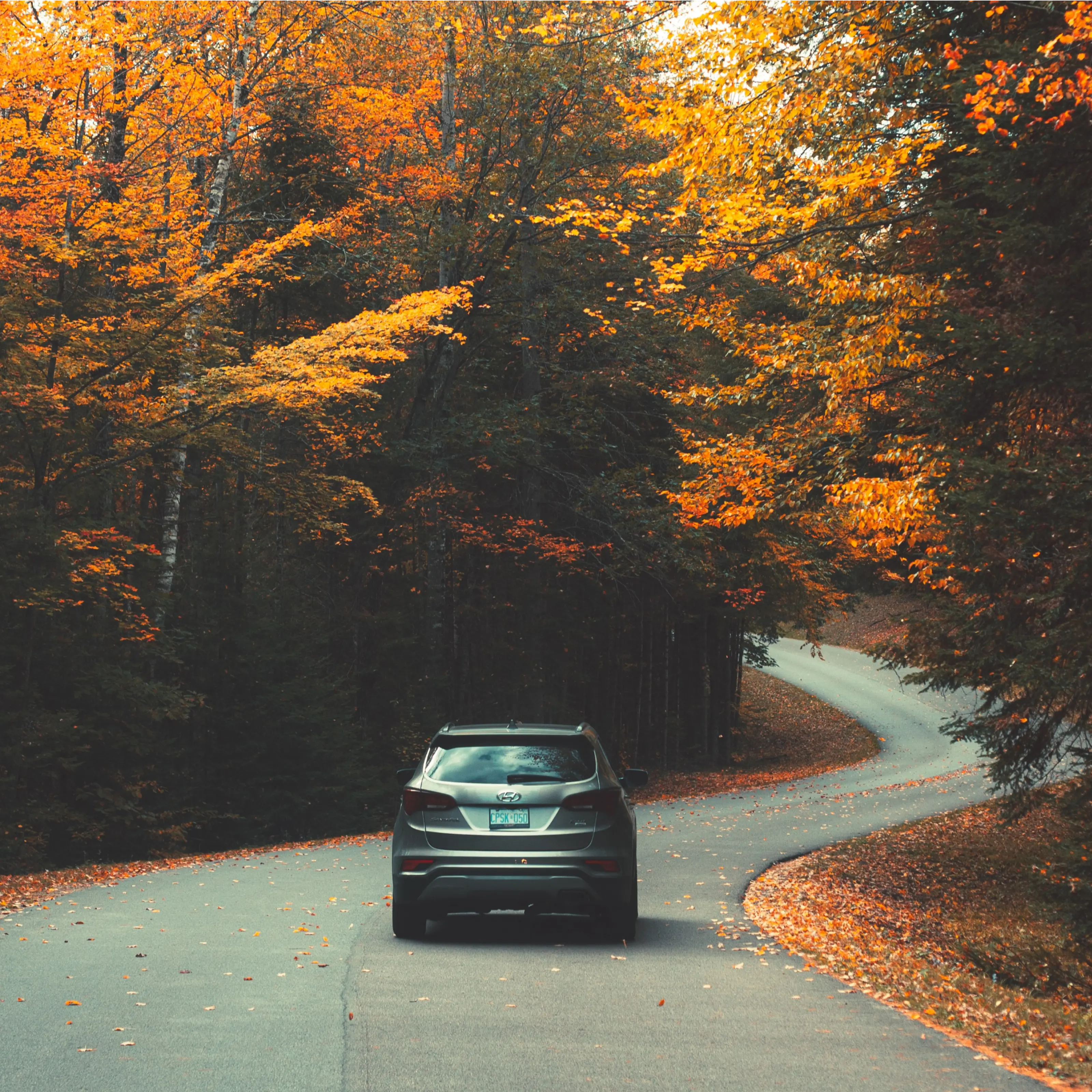 SINGLE TRIP TRAVEL INSURANCE SINGAPORE visual data 6